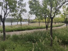 -东郊湿地公园