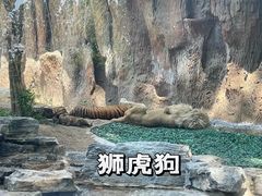 -北京野生动物园