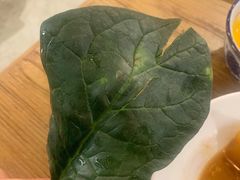 带泥的新鲜菠菜-十六蒲(桂林路店)