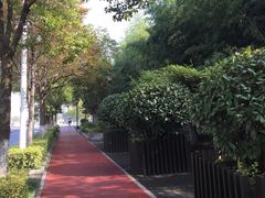 -金陵图书馆