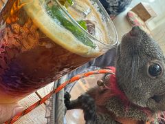 -Sirena海妖日咖夜酒