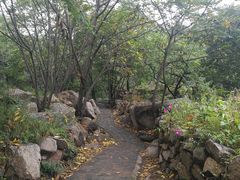 -大岭沟猕猴桃谷风景区