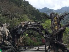 -龙湾潭国家森林公园
