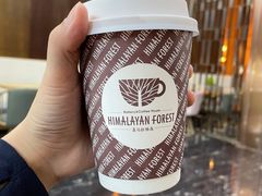 -喜马拉雅森HIMALAYAN FOREST