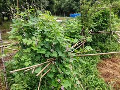 -西山人家·二十年老字号农家菜(旺山店)