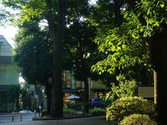 -三鹰之森吉卜力美术馆