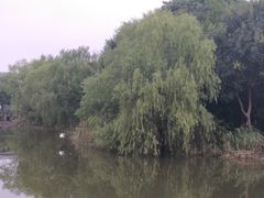 -新江湾城公园