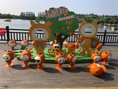 -上海长兴岛郊野公园