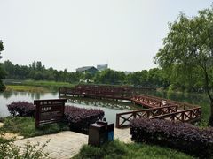 -金银湖国家城市湿地公园