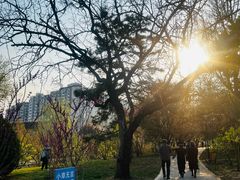 -元大都城垣遗址公园