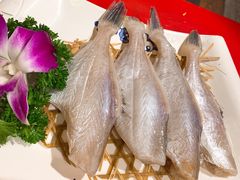 -巴九门老火锅(来福士打望店)