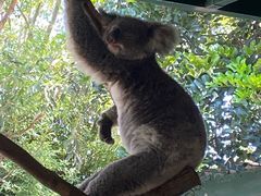 -费瑟代尔野生动物园