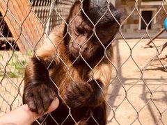 -哈尔滨北方森林动物园