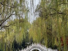 -洛阳市隋唐城遗址植物园