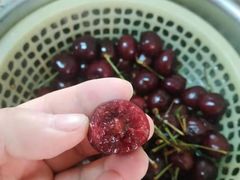 -沈阳市八家子水果批发市场