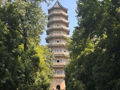 -灵谷景区