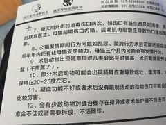 -伟伟宠物医院·瑞派猫友好医院·猫科(光谷店)