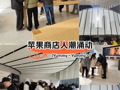 -Apple零售店(新街口店)