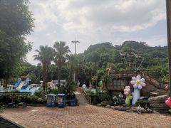 -重庆海昌加勒比海水世界