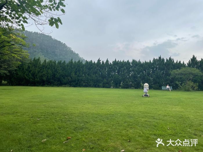 南沙蒲洲花园图片