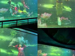 -大明湖海底世界