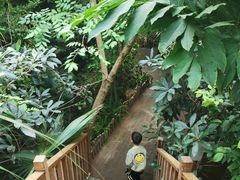 -呀路古热带植物园-恐龙馆