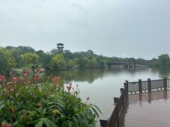 -张坝桂圆林公园