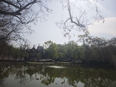-翠湖公园