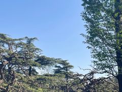 -香山公园