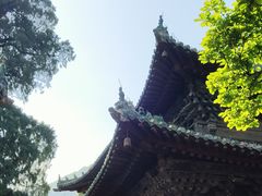 -报恩寺(平武县)