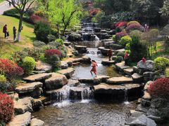 -桃花岭景区