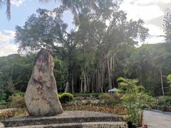 -打洛口岸