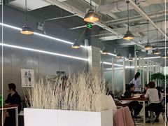-奇帕波·披萨&炸鸡(诺和木勒站店)