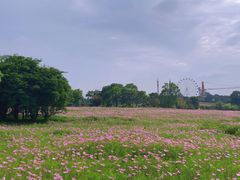 -花博汇(知音花月夜)