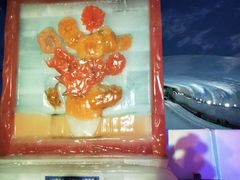 -世界之窗阿尔卑斯冰雪世界