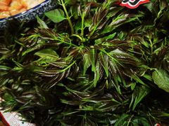 -传统菜农庄(皇姑路店)