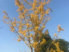 -上方山森林动物世界