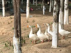 -东郊湿地公园