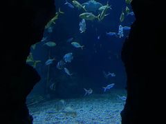 -郑州海洋馆