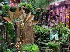 -正佳雨林生态植物园