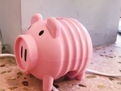 餐具摆设-WHEN PIGS FLY当猪飞
