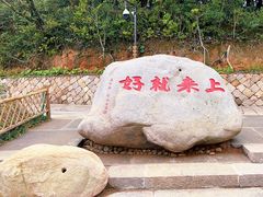 -普陀山风景区-佛顶山