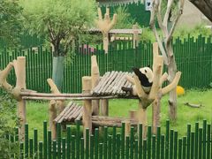 -沈阳森林动物园