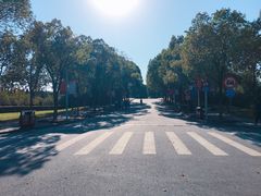 -华东政法大学(松江校区)