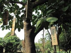 IMG_0650-茂德公草堂
