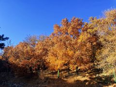 -承德避暑山庄景区