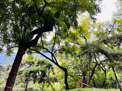 -元大都城垣遗址公园