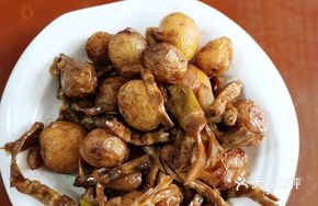 Roasted Sheep Tail Bamboo Shoots with Potatoes