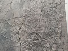 -中国地质大学逸夫博物馆