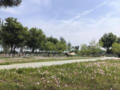 -汉长安城未央宫国家考古遗址公园